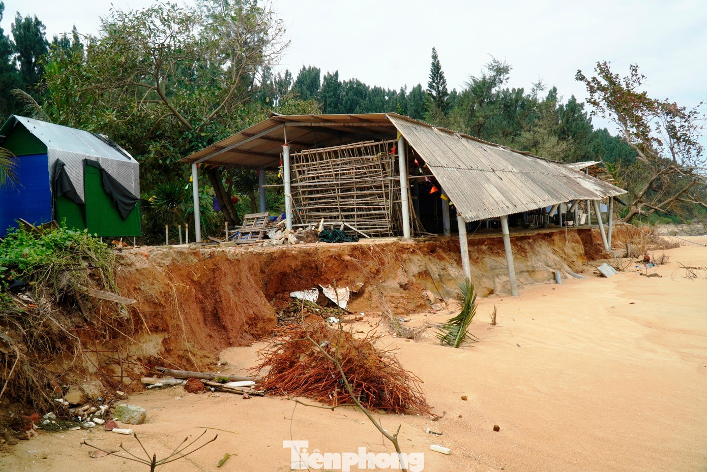 img src/upload/4-2025/images/2025-12-01/1764553623-tp-4-bai-tam-ham-rong-bien-dang-1-width1390height929.jpg width660 /