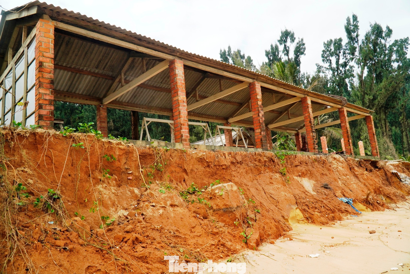 img src/upload/4-2025/images/2025-12-01/1764553623-tp-6-bai-tam-ham-rong-bien-dang-4-width1390height929.jpg width660 /