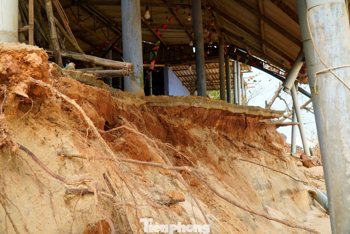 Cũng như anh Hoàng Trọng Quang, nhiều hộ kinh doanh dịch vụ ven biển Hàm Rồng mong muốn các cấp có thẩm quyền sớm có giải pháp khẩn cấp như kè mềm, kè cừ để giảm tốc độ xói lở bờ biển trong khi chờ hệ thống kè kiên cố được triển khai đầu tư.