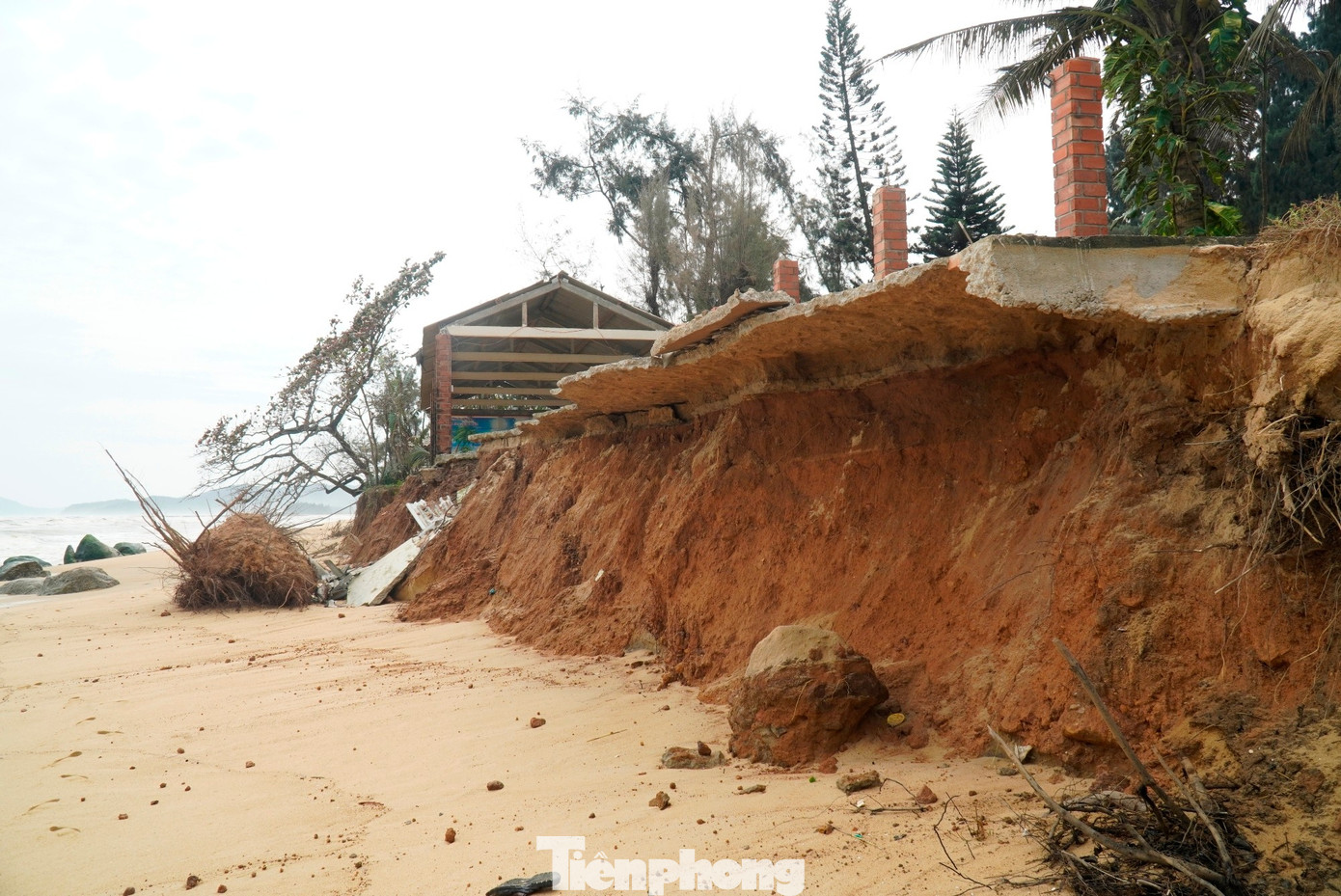 img src/upload/4-2025/images/2025-12-01/1764553624-tp-8-bai-tam-ham-rong-bien-dang-2-width1390height929.jpg width660 /