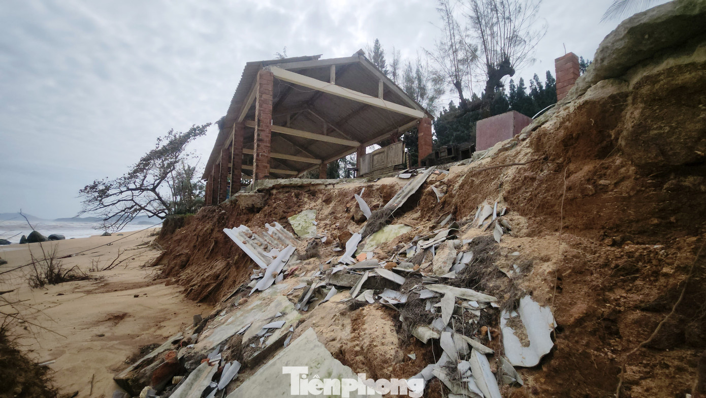 img src/upload/4-2025/images/2025-12-01/1764553624-tp-9-bai-tam-ham-rong-bien-dang-1-width1390height783.jpg width660 /