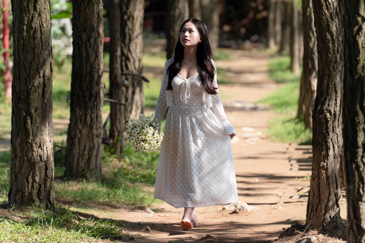 Check in cúc hoạ mi vào mùa nở rộ - 5