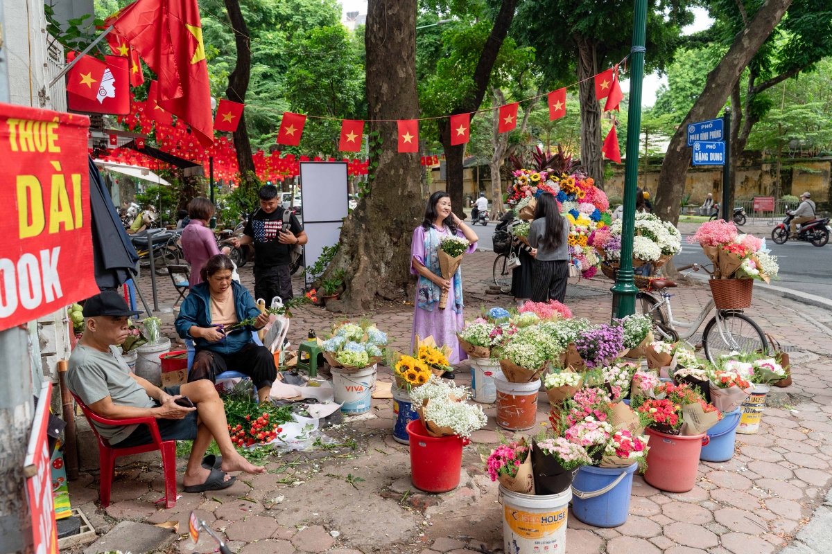 Check in cúc hoạ mi vào mùa nở rộ - 6