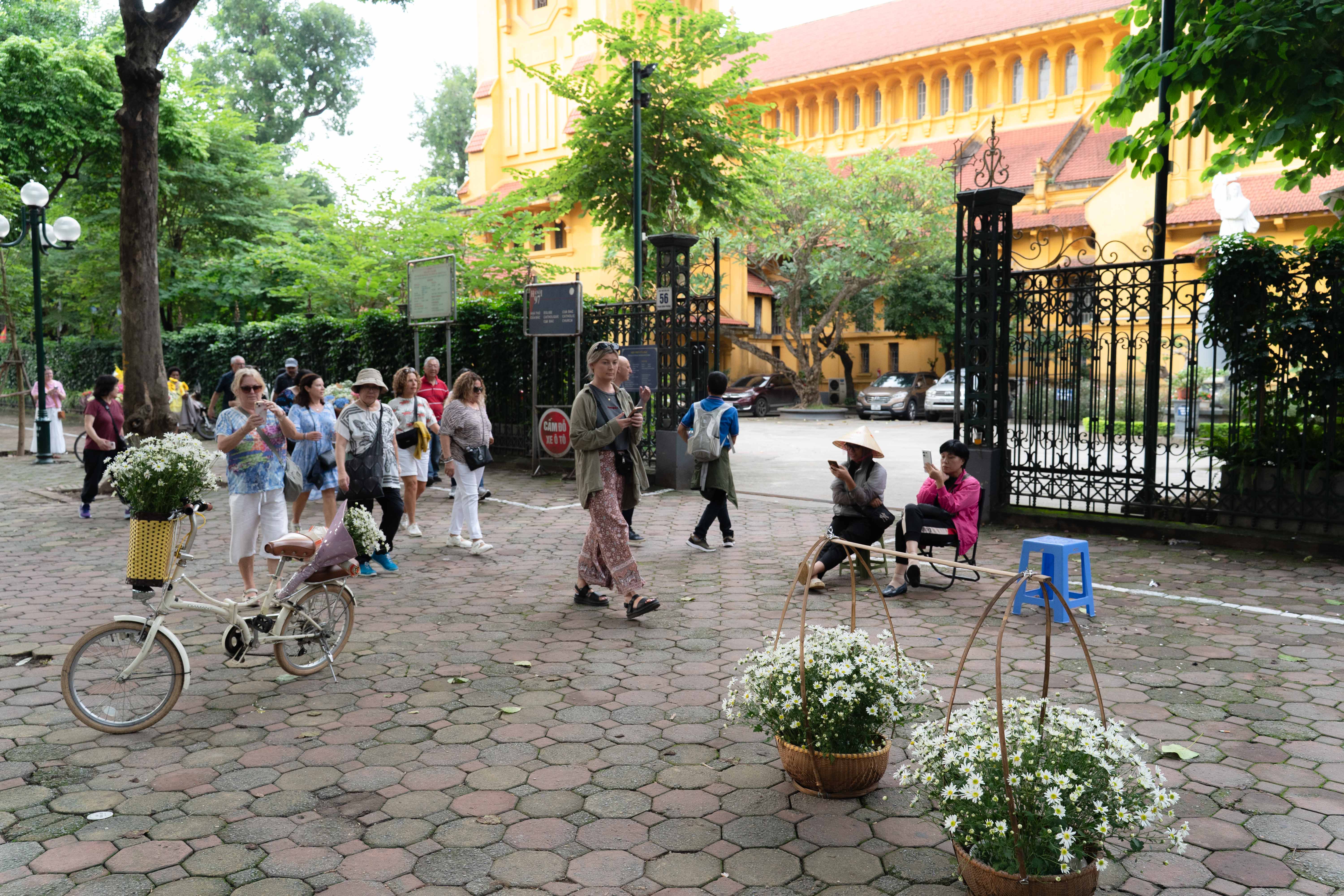 Check in cúc hoạ mi vào mùa nở rộ - 7