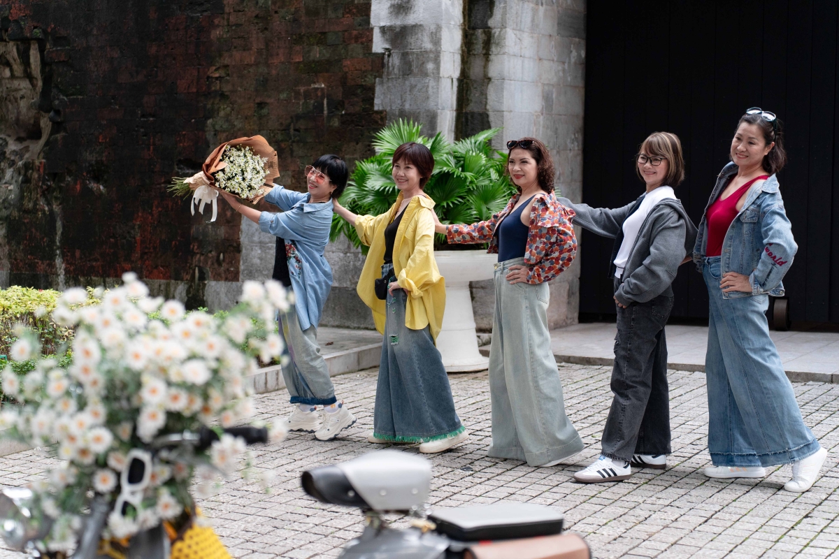 Check in cúc hoạ mi vào mùa nở rộ - 11