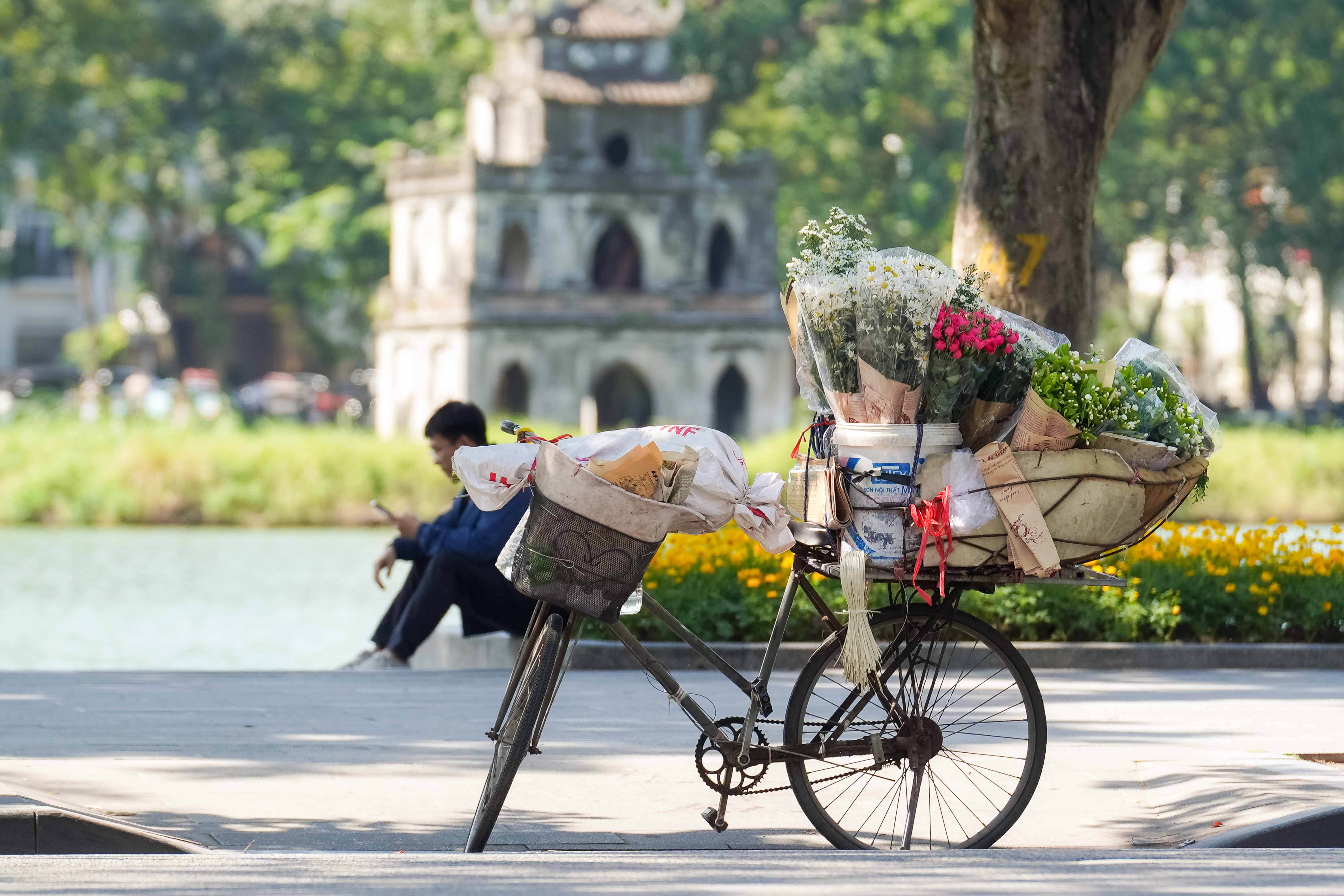 Check in cúc hoạ mi vào mùa nở rộ - 13