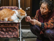 Yêu con - 4 'quy luật nhân quả' trong giáo dục con giúp bạn biết trước được tuổi già thảnh thơi hay cô đơn