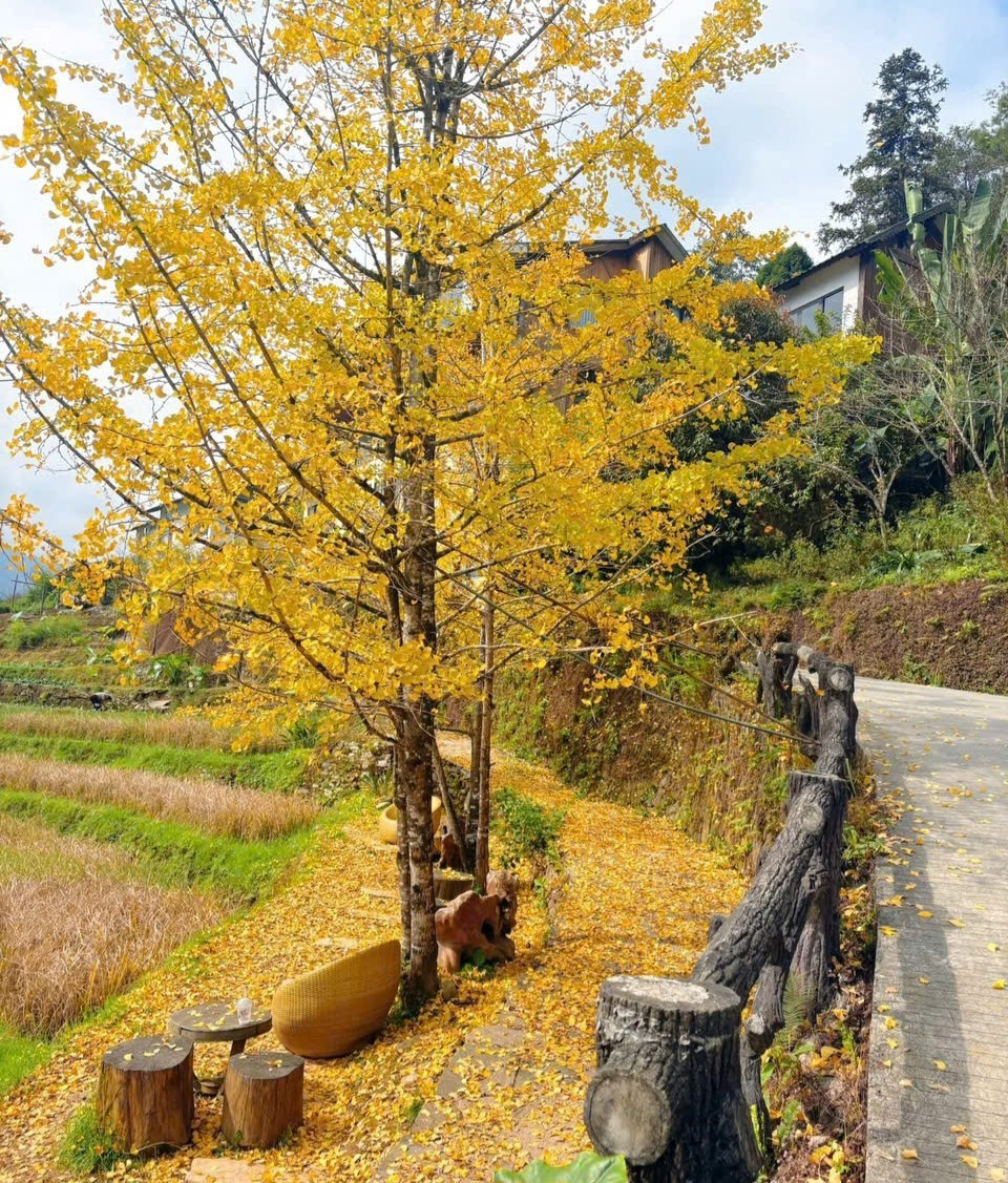 img src/upload/4-2025/images/2025-12-02/1764647977-17866-width960height1280.jpg width660 /