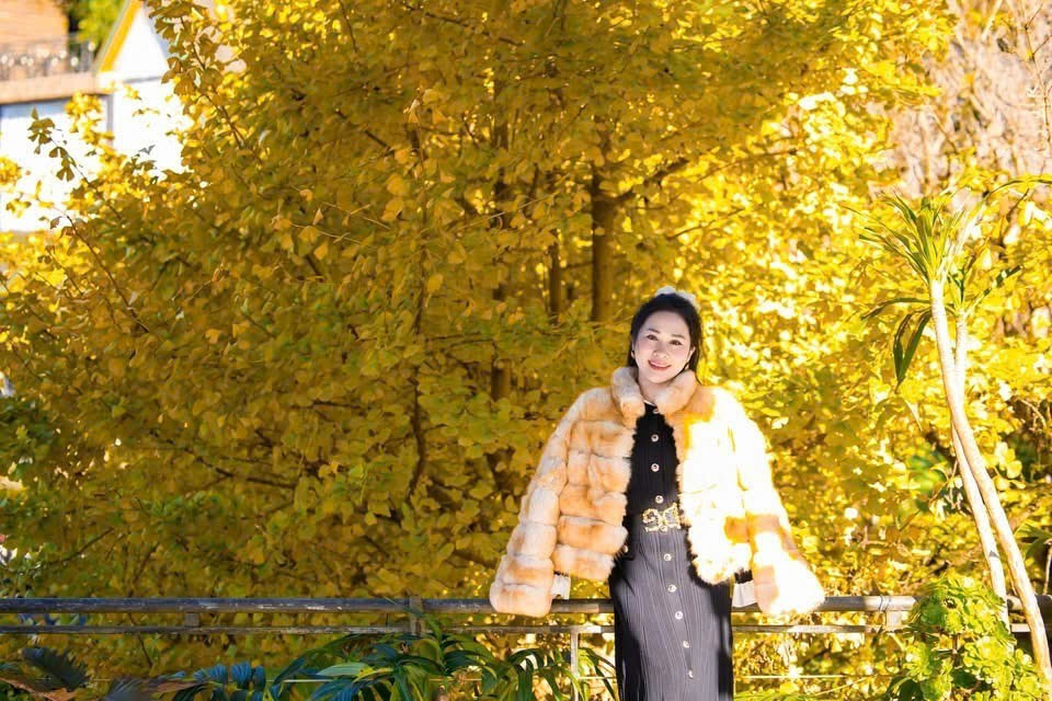 Tôi từng xem những hàng cây vàng ở Hàn Quốc nhưng chưa có dịp đi. Đến Sa Pa vào đúng mùa này, tôi thấy cảnh đẹp chẳng kém gì phim Hàn Quốc. Chỉ cần đứng nhẹ dưới tán cây là có ngay tấm ảnh rất lãng mạn, một du khách đến từ Hà Nội chia sẻ.