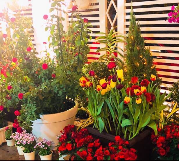 Một góc rực rỡ.