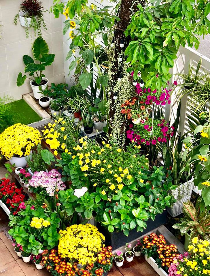 Không gian duyên dáng và ấn tượng bởi sắc màu của thiên nhiên.