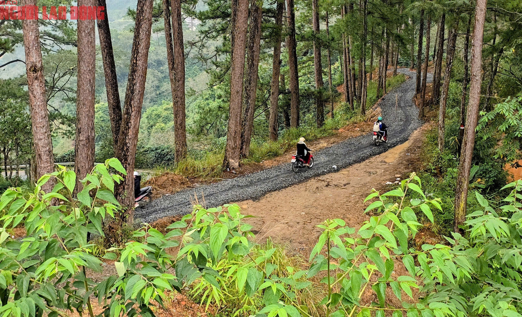 Hiện trạng đèo Damp;#39;ran nối Lâm Đồng - Khánh Hoà sau gần 1 tháng sửa chữa - 7