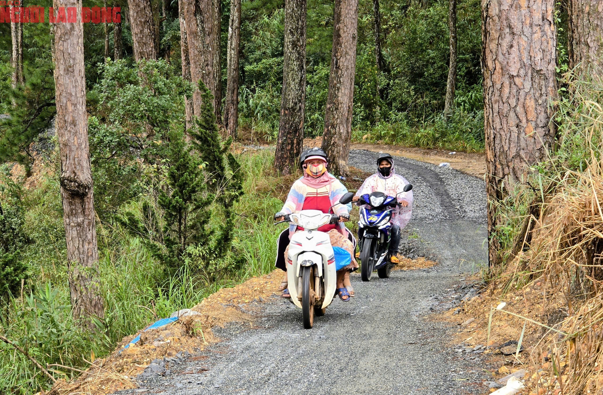 Hiện trạng đèo Damp;#39;ran nối Lâm Đồng - Khánh Hoà sau gần 1 tháng sửa chữa - 9