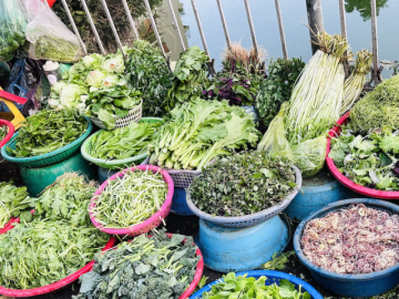 Giá rau xanh ở chợ giảm mạnh: Su hào 12.000 đồng/củ, cải mơ 50.000 đồng/kg