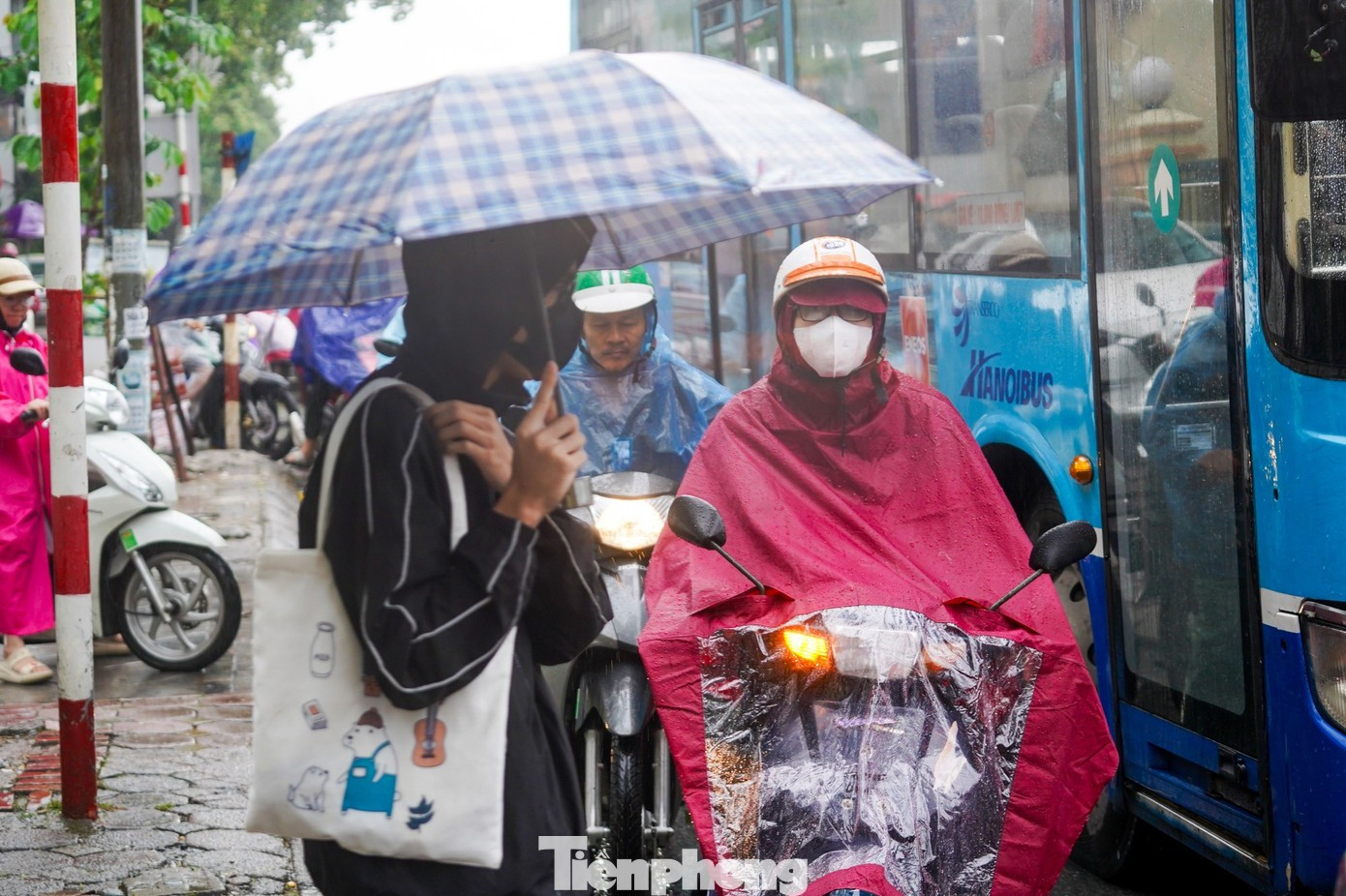 Miền Bắc có thể đón không khí lạnh mạnh từ khoảng 11/12 gây mưa dông.