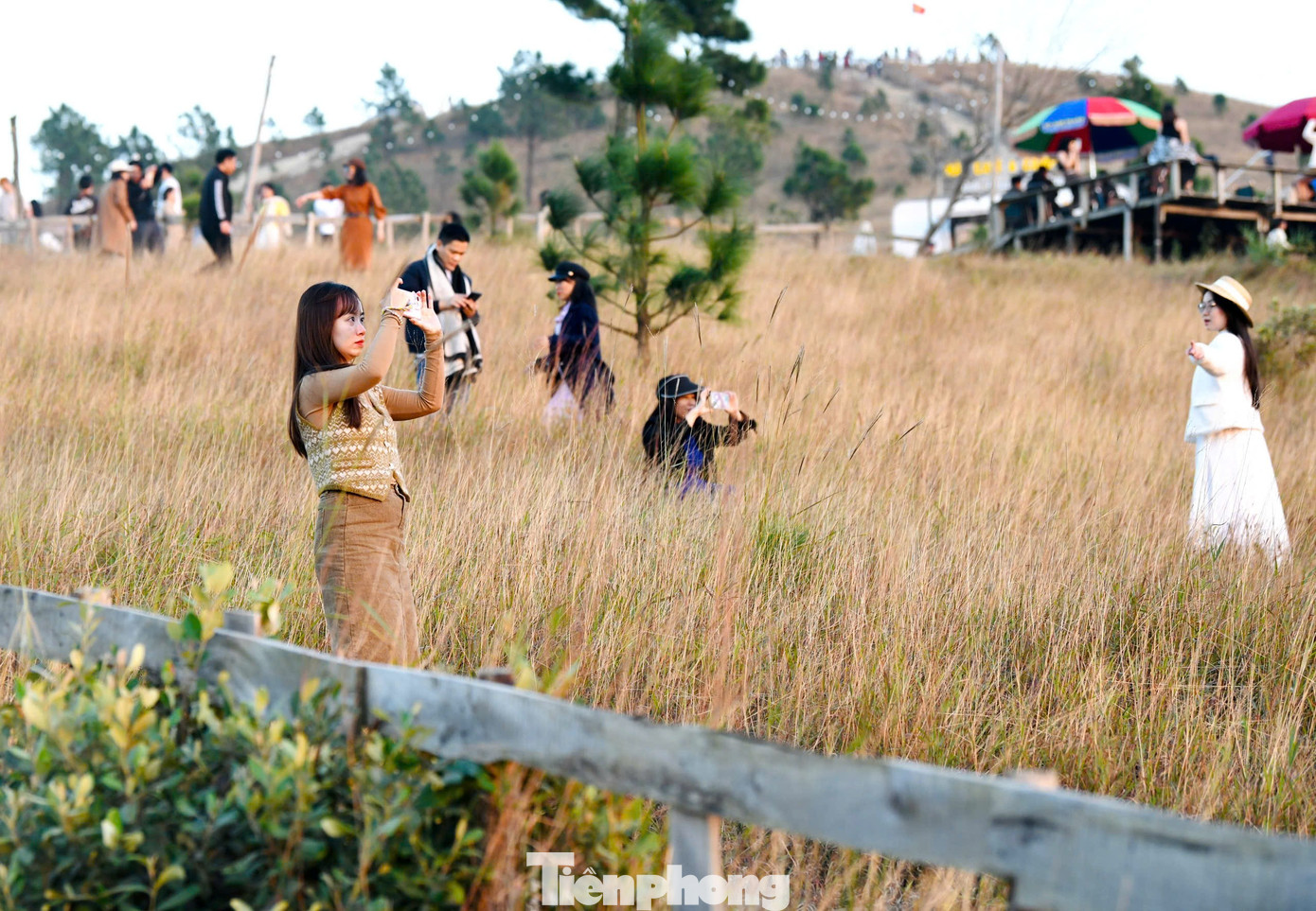 Du Khách Đổ Xô Đi Cắm Trại, Check-In Ở Đồi Cỏ Phủ Màu Siêu Thực Img Src/Upload/4-2025/Images/2025-12-06/1765004788-Tp-Ph-14-Width1390Height993.Jpg Width660 /