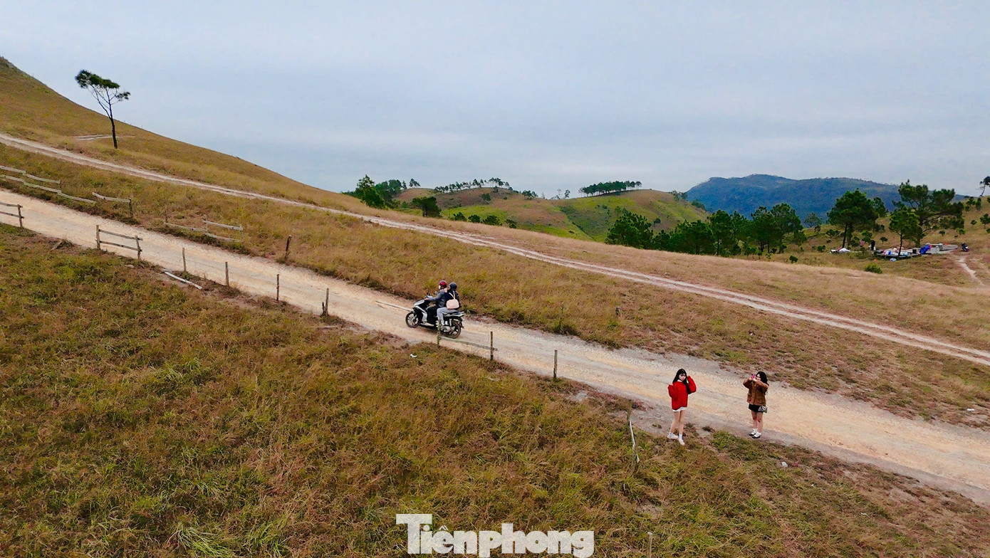 Du Khách Đổ Xô Đi Cắm Trại, Check-In Ở Đồi Cỏ Phủ Màu Siêu Thực Để Đến Đồi Phượng Hoàng, Du Khách Từ Hà Nội Di Chuyển Đến Khu Vực Chân Núi Và Mua Vé Với Giá 100.000 Đồng Mỗi Xe. Bên Cạnh Xe Máy Phương Tiện Thuận Lợi Nhất, Du Khách Cũng Có Thể Chọn Ô Tô Gầm Cao. Tại Chân Núi Còn Có Dịch Vụ Đưa Đón Bằng Xe Bán Tải, Giá Khoảng 400.000 Đồng Cho Một Lượt Khứ Hồi.