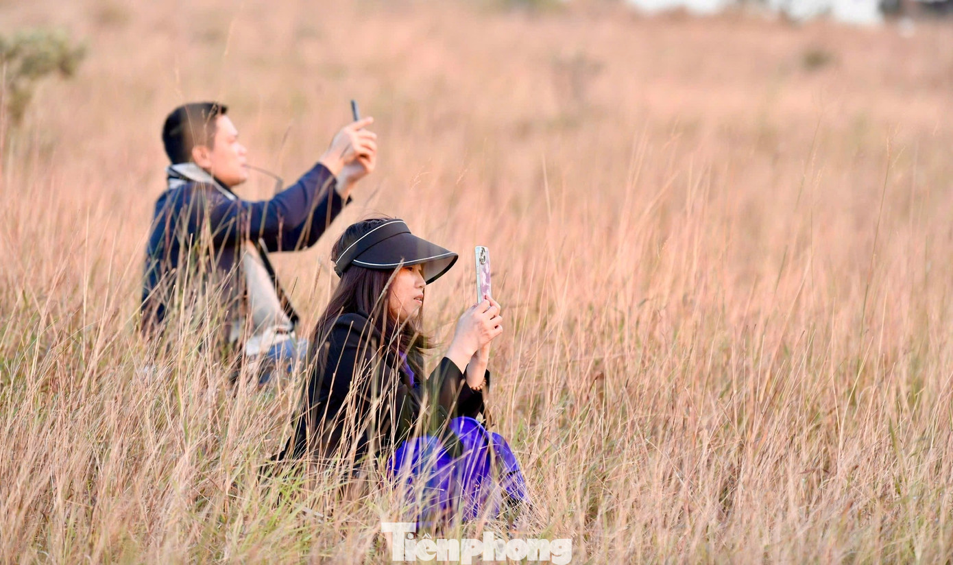 Du Khách Đổ Xô Đi Cắm Trại, Check-In Ở Đồi Cỏ Phủ Màu Siêu Thực Du Khách Đổ Xô Đi Cắm Trại, Check-In Ở Đồi Cỏ Phủ Màu Amp;#34;Siêu Thựcamp;#34; - 10