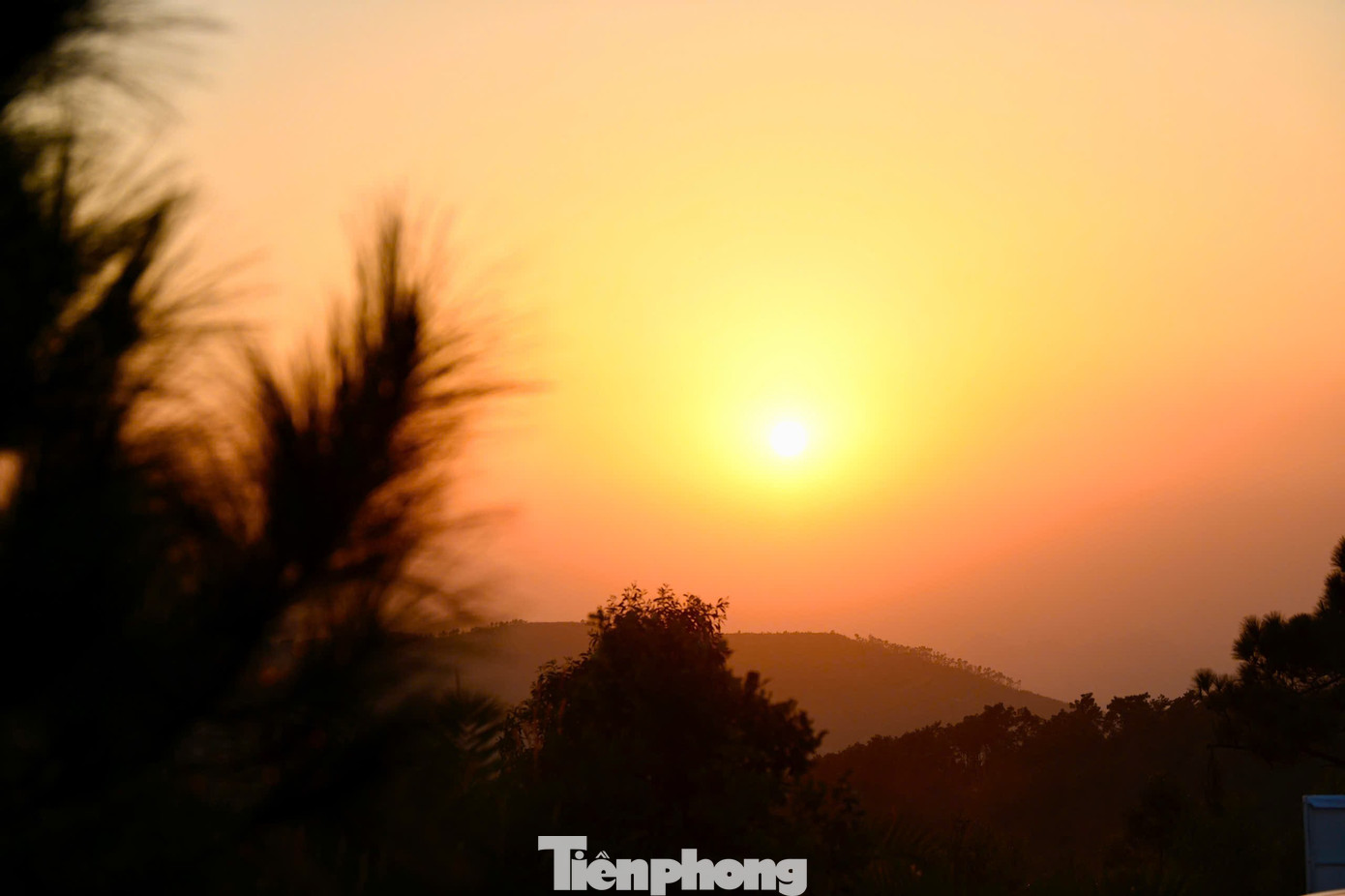 Du Khách Đổ Xô Đi Cắm Trại, Check-In Ở Đồi Cỏ Phủ Màu Siêu Thực Thời Điểm Đẹp Nhất Để Ngắm Đồi Cỏ Cháy, Đỉnh Phượng Hoàng Là Lúc Hoàng Hôn. Khi Mặt Trời Dần Khuất Sau Những Dãy Núi, Ánh Vàng Cam Phủ Lên Thảm Cỏ Tạo Nên Khung Cảnh Mềm Mại Và Thơ Mộng, Khiến Nơi Đây Trở Thành Điểm Check-In Lý Tưởng Cho Những Ai Yêu Thích Sự Bình Yên Và Lãng Mạn.