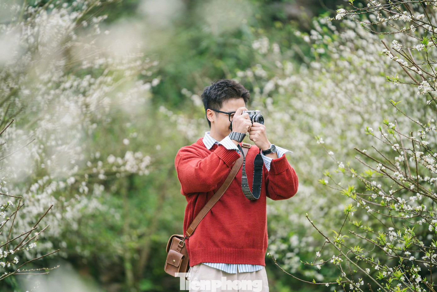 Hoa Mận Nở Sớm, Tinh Khôi Giữa Tiết Trời Đầu Đông Ở Mộc Châu Anh Nguyễn Quang Ngọc, Du Khách Từ Phú Thọ Chia Sẻ, Anh Biết Đến Hoa Mận Trái Vụ Qua Mạng Xã Hội, Nên Đã Đưa Gia Đình Đến Tham Quan Vào Cuối Tuần. Cùng Với Vườn Hồng, Vườn Cải Và Đặc Biệt Là Những Tán Mận Trắng Xóa Giúp Gia Đình Anh Cảm Thấy Thư Thái Sau Một Tuần Làm Việc Vất Vả.