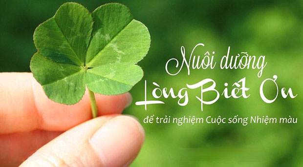 Dạy con điều này, cả đời sau cha mẹ không phải hối tiếc, con cái sống hạnh phúc hơn - 2