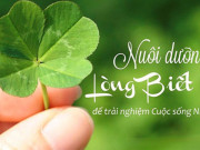 Yêu con - Dạy con điều này, cả đời sau cha mẹ không phải hối tiếc, con cái sống hạnh phúc hơn