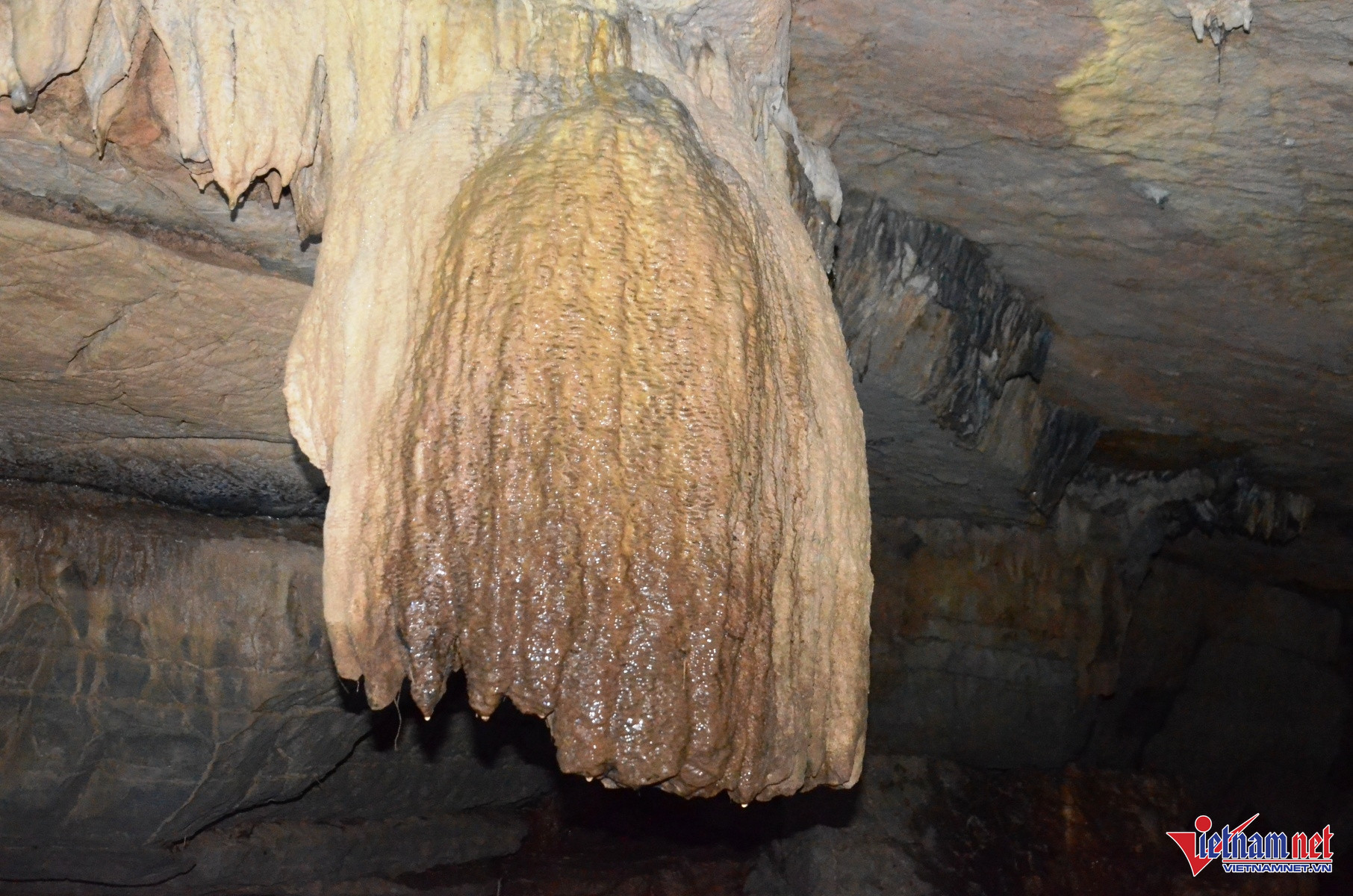 Khám Phá Hang Động Có Nhũ Đá Hình Tượng Phật Ngồi Thiền Ở Ninh Bình Nhũ Đá Hình Như Bông Hoa Tuy-Líp