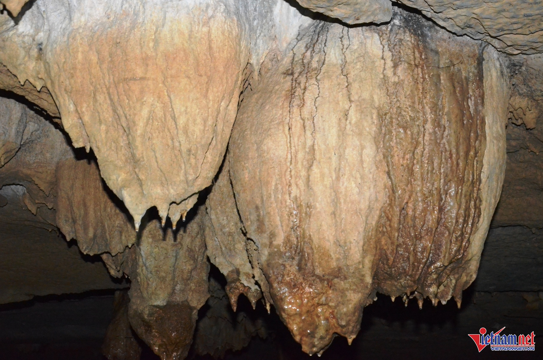 Khám Phá Hang Động Có Nhũ Đá Hình Tượng Phật Ngồi Thiền Ở Ninh Bình Trong Hang Bụt Có Rất Nhiều Thạch Nhũ Hình Đào Tiên, Voi Phục...