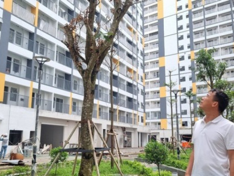 Người sinh 2 con trở lên chính thức được ưu tiên hưởng chính sách nhà ở xã hội từ 1/7/2026