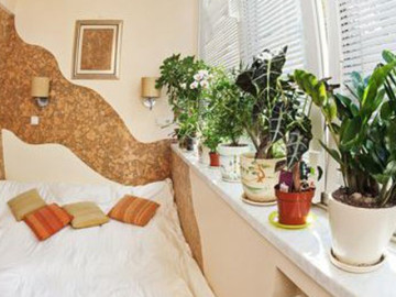 Người nào mất ngủ, hãy để ngay loại cây này trong phòng ngủ