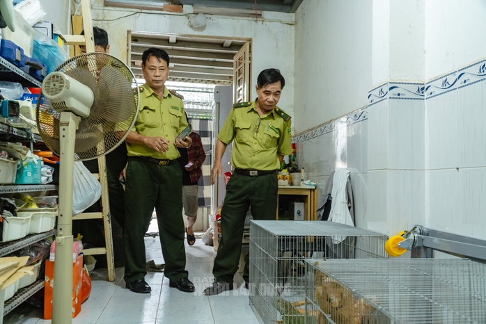 VIDEO: Đột kích căn nhà ở Bình Thạnh, phát hiện 202 con kỳ nhông nuôi nhốt trái phép - 1
