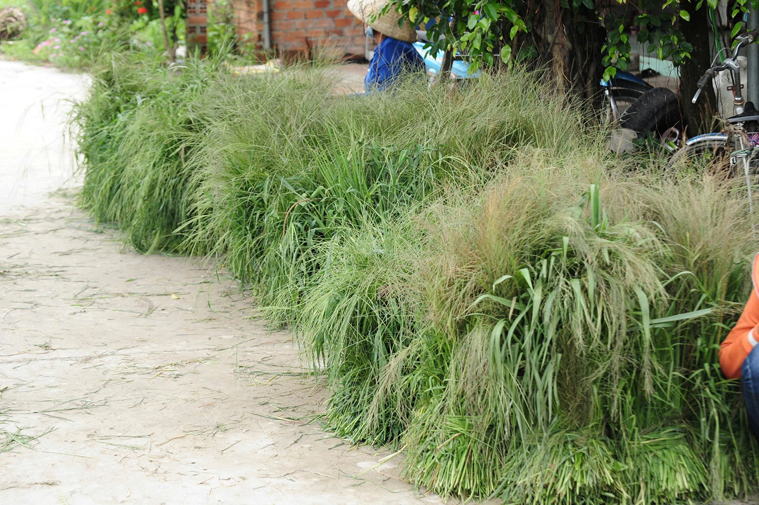 Khung cảnh buôn bán trên bến dưới thuyền thường thấy ở miền Tây sông nước. Ảnh: T.T