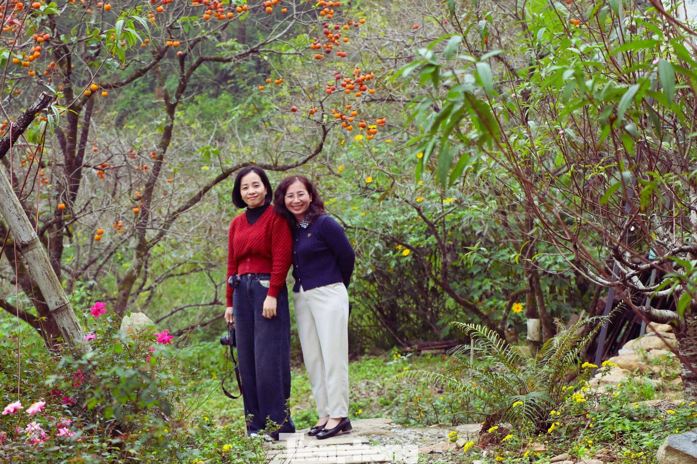 img src/upload/4-2025/images/2025-12-12/1765524188-tp-32-width1390height926.jpg width660 /