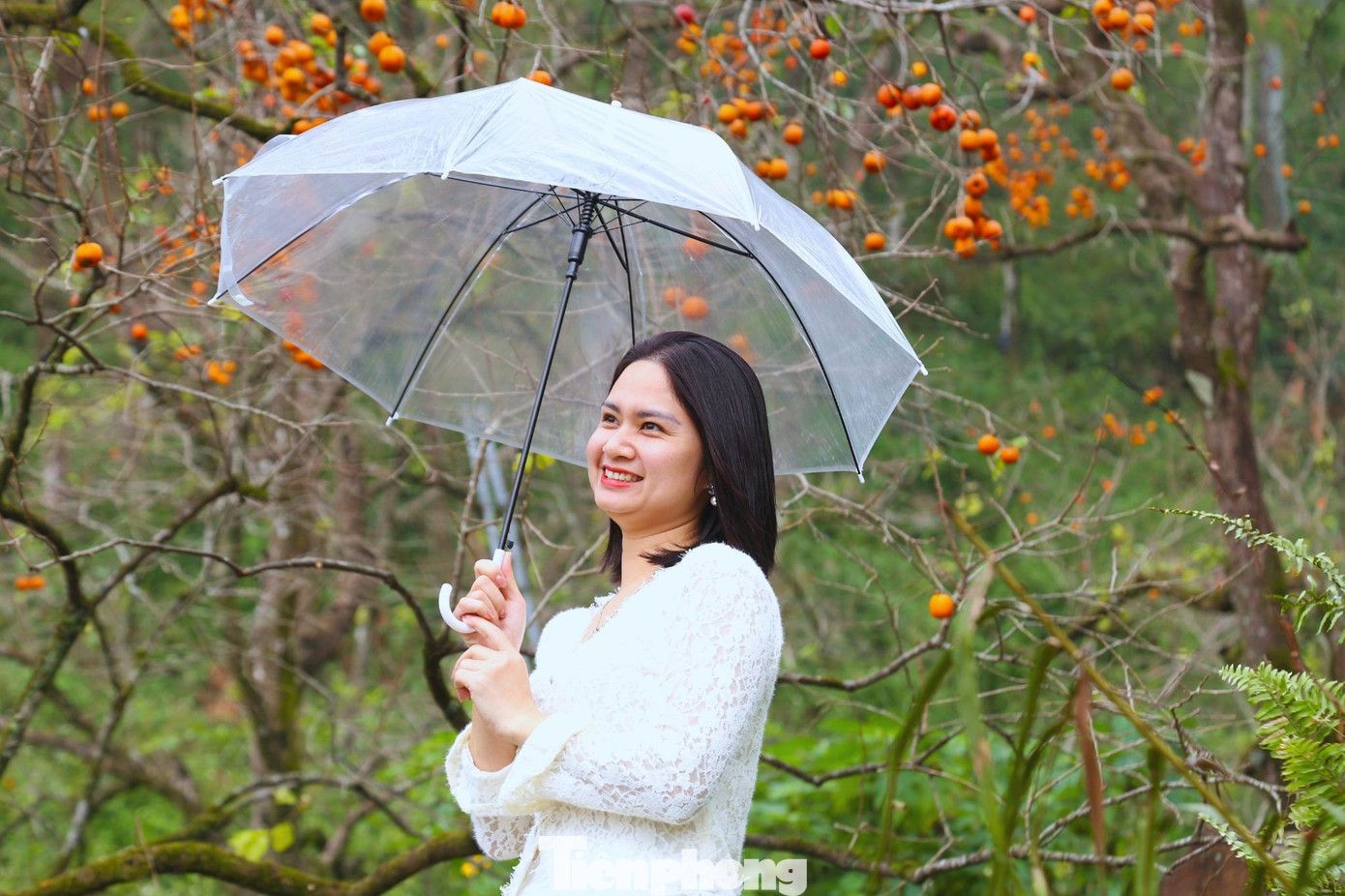 Anh Nguyễn Trọng Sách, người tiên phong làm du lịch tại vườn hồng cổ thụ ở Đại Huệ, cho biết, vào mùa hồng chín, lượng khách trẻ tăng cao. Ngoài điểm nhấn là vườn hồng cổ có tuổi đời cả trăm năm tạo nên vẻ đẹp hoang sơ, anh còn cung cấp thêm nhiều dịch vụ để phục vụ du khách như cho thuê trang phục, phụ kiện và dịch vụ chụp hình. “Du khách thích thú vì cảnh mộc, không bê tông hóa, không chỉnh sửa gì cả. Các bạn trẻ thường đến từ sáng sớm để tránh nắng, có người ở lại tới chiều để canh ánh sáng đẹp nhất”, anh Sách cho hay.