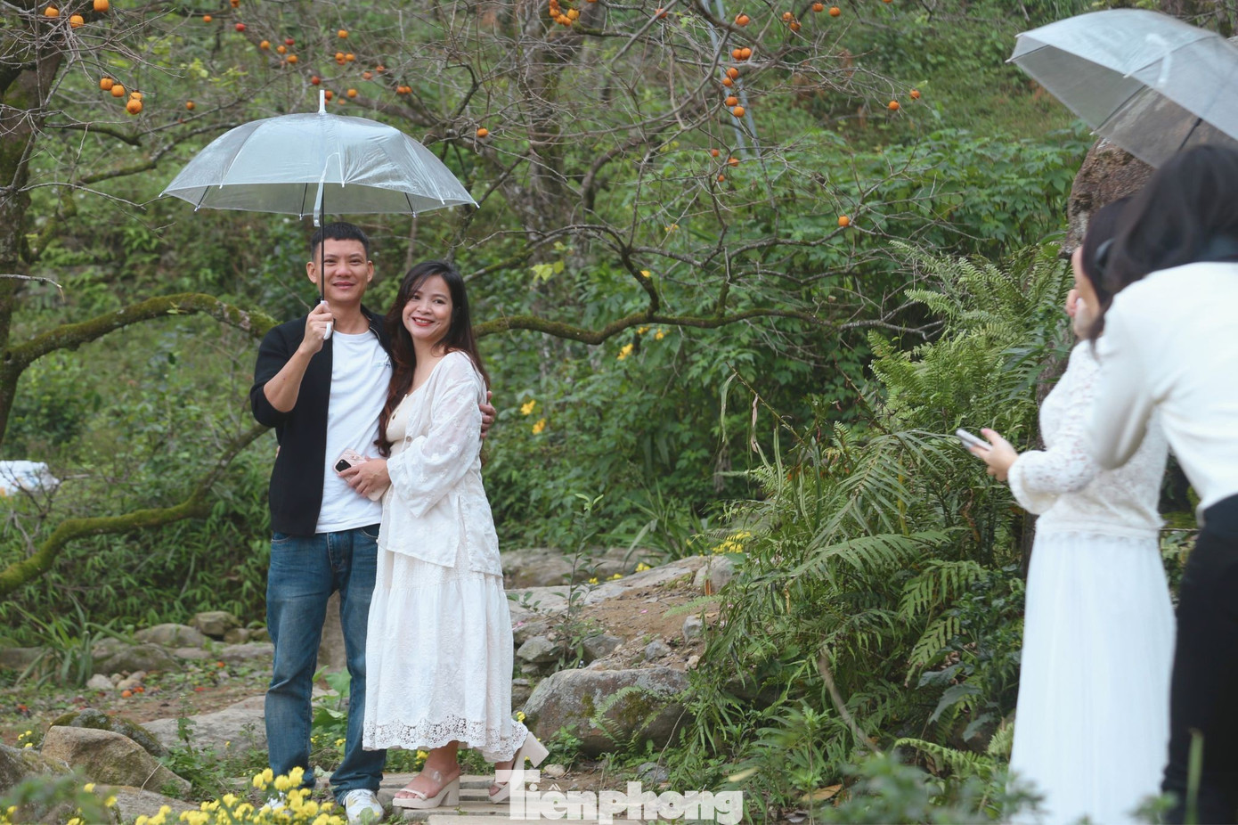 Check in ở amp;#34;thủ phủamp;#34; hồng cổ thụ chín rực rỡ - 4