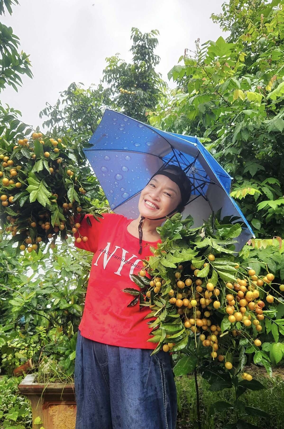 Vườn rau 3.500 m2 ven sông Hồng của diễn viên Tú Oanh - 1