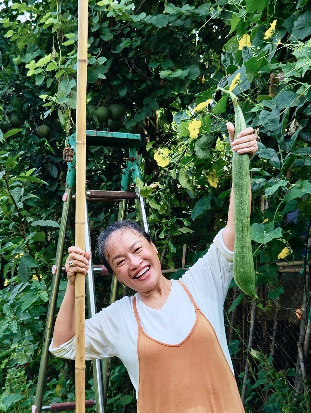 Vườn rau 3.500 m2 ven sông Hồng của diễn viên Tú Oanh - 3