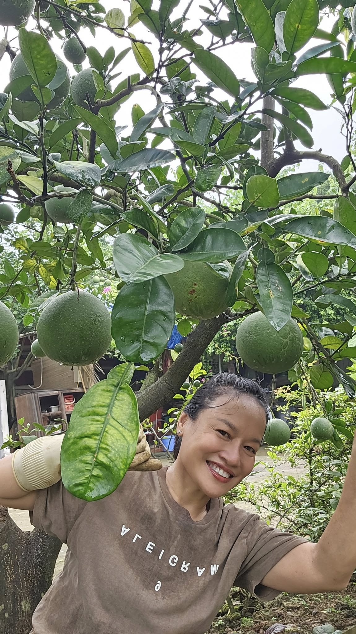 Vườn rau 3.500 m2 ven sông Hồng của diễn viên Tú Oanh - 6