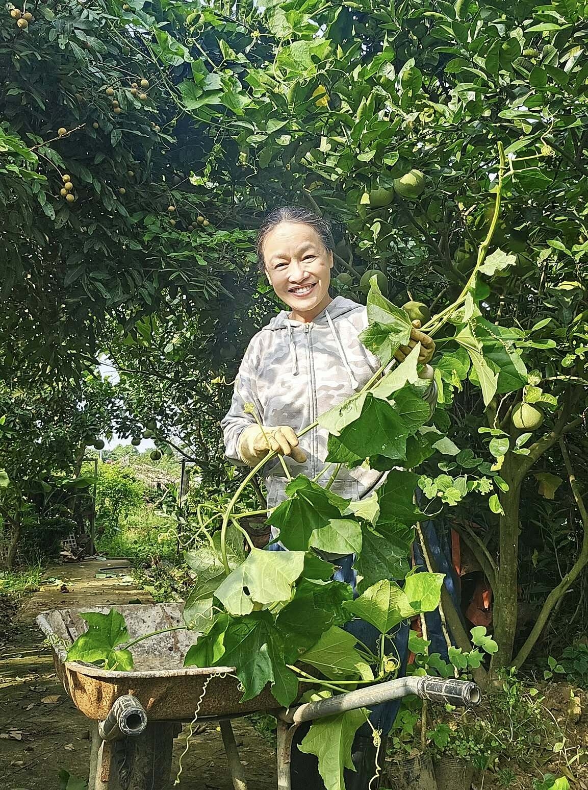 Vườn rau 3.500 m2 ven sông Hồng của diễn viên Tú Oanh - 5