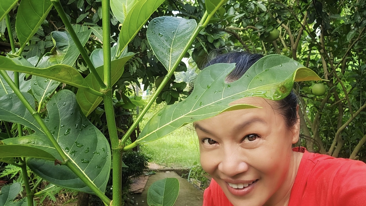 Vườn rau 3.500 m2 ven sông Hồng của diễn viên Tú Oanh - 12