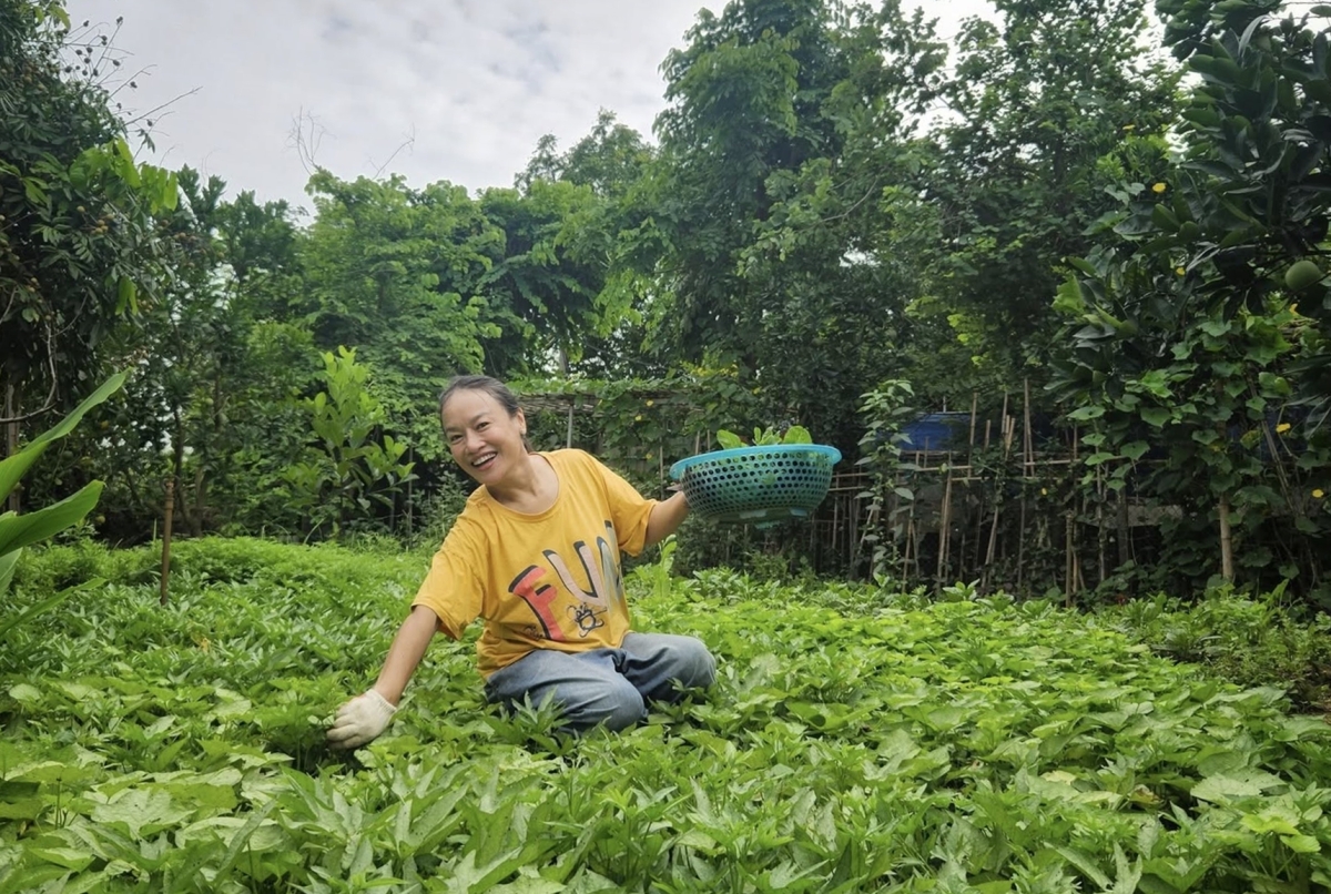 Vườn rau 3.500 m2 ven sông Hồng của diễn viên Tú Oanh - 8
