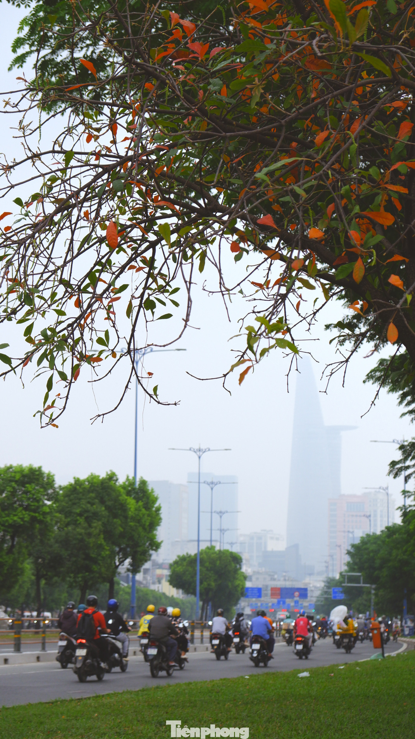 Tại khu vực đường Võ Văn Kiệt, phường Sài Gòn vào lúc 7 giờ 30 sáng.