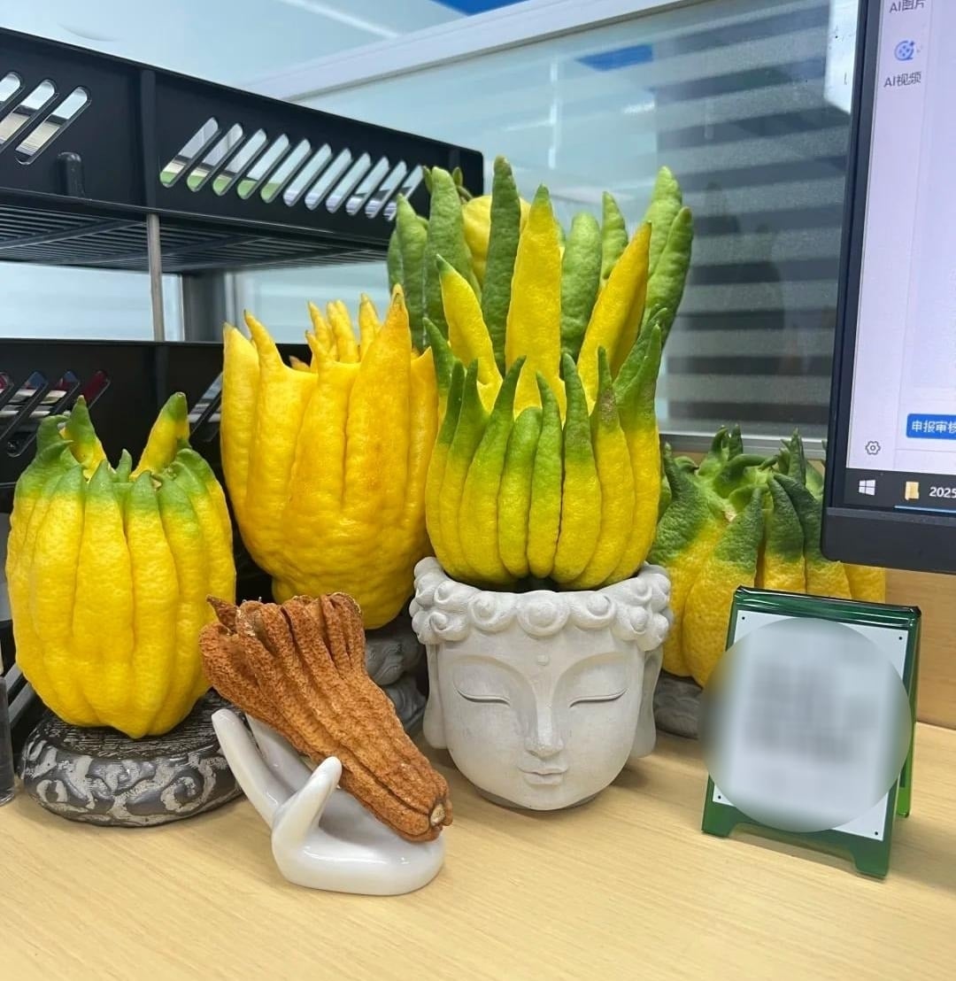 Vỏ quả cũng có thể làm mứt. Ảnh minh họa Toutiao