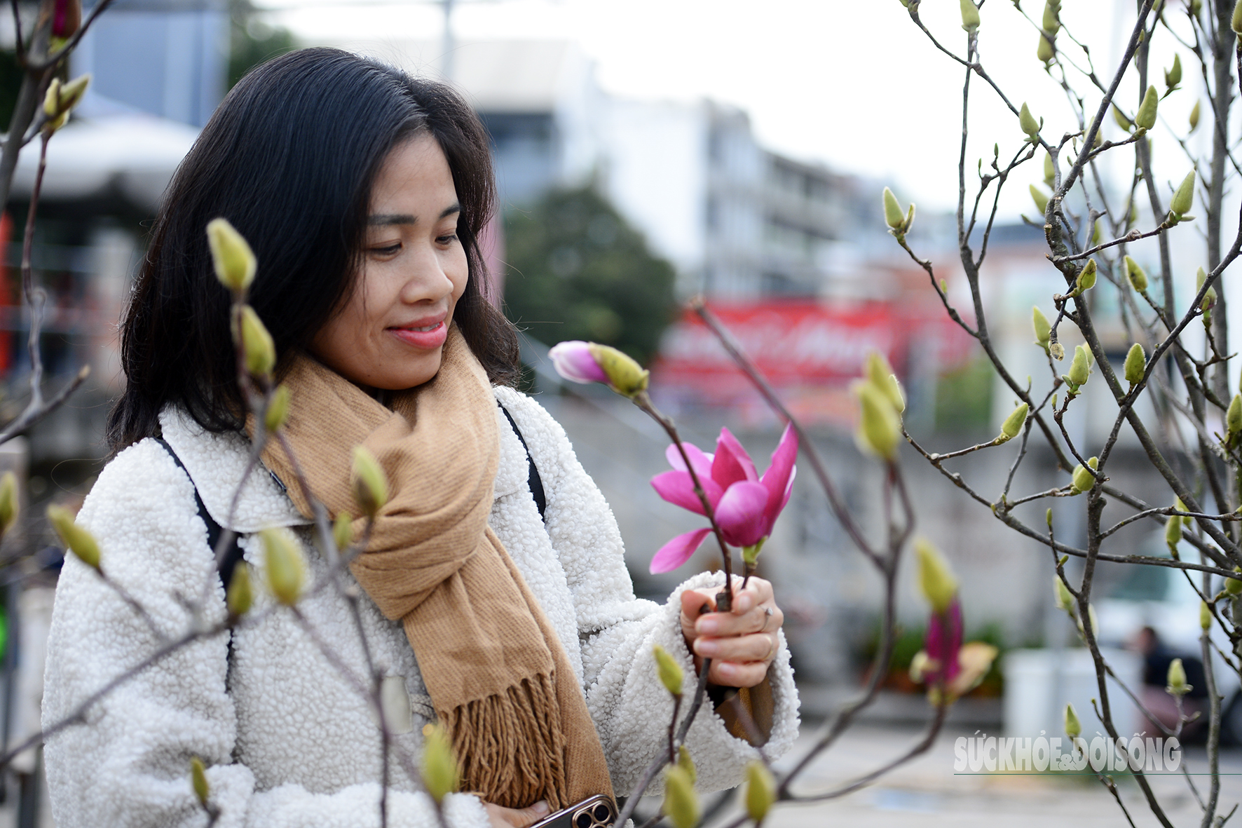 Chị Huyền Trang (phường Thượng Cát, Hà Nội) cho biết: Mộc lan năm nay nở sớm, bông to và rất đẹp. Em thích loài hoa này vì ý nghĩa phong thủy tốt, có thể trưng ở phòng khách hay ban thờ đều hợp.