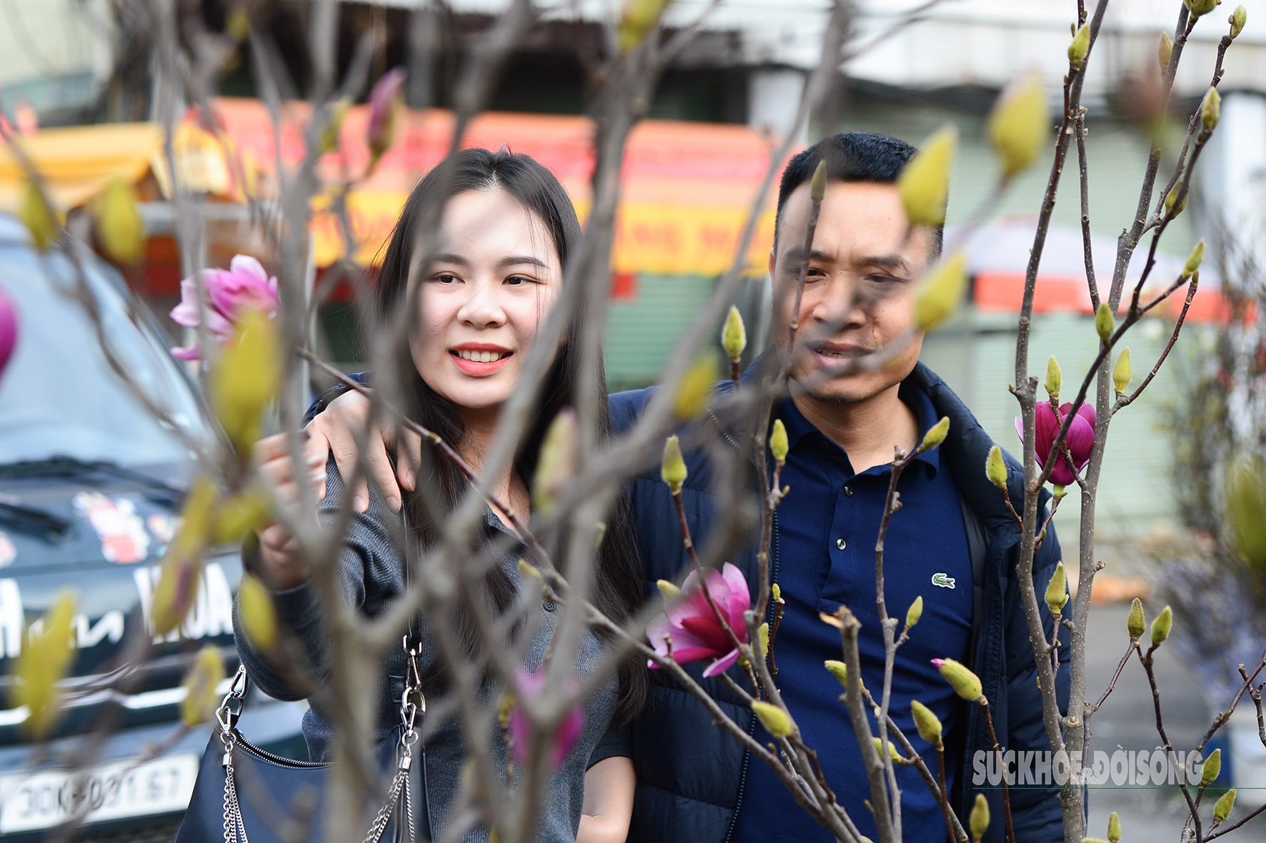 Chị Minh Phương (phường Sơn Tây, Hà Nội) chia sẻ: Em thấy trên mạng mọi người chơi mộc lan nhiều nên muốn chọn một cành đẹp để trưng trong nhà dịp cuối năm. Hoa nhìn sang, dáng cành rất lạ mắt.