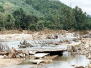 Clip Eva - Clip: Sau lũ, nhiều nhà không còn vết tích, đường thành suối, nông dân men theo rừng gùi từng bao khóm ra ngoài