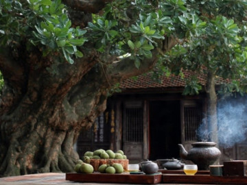 Người xưa dặn: Không chặt 2 cây, rủi ro không vào, đói nghèo không đến, đó là cây gì?