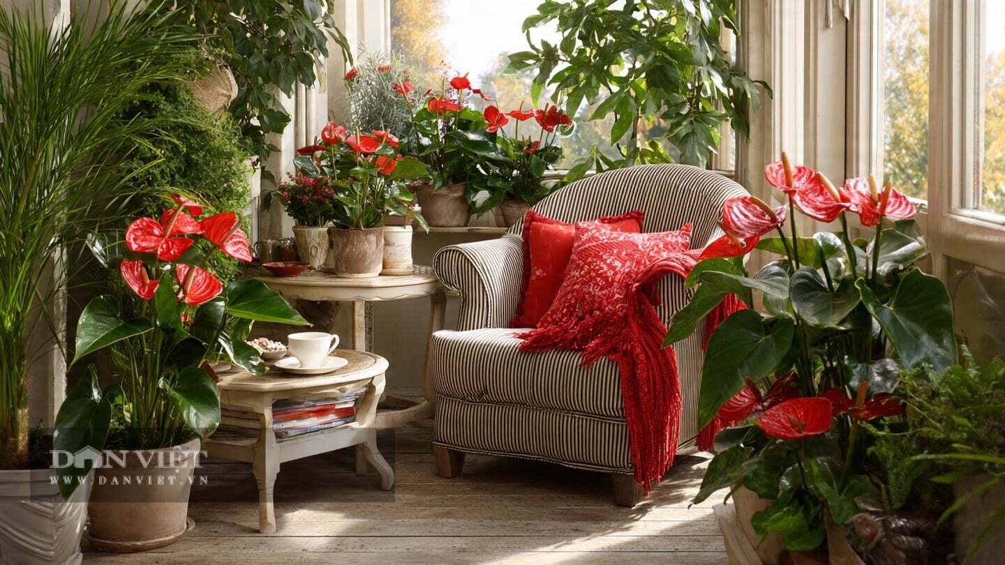 Tưới nước tiết kiệm