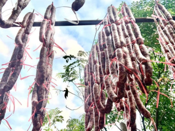 Đặc sản Lạng Sơn có gia vị đặc biệt từ núi đá, hấp dẫn du khách gần xa