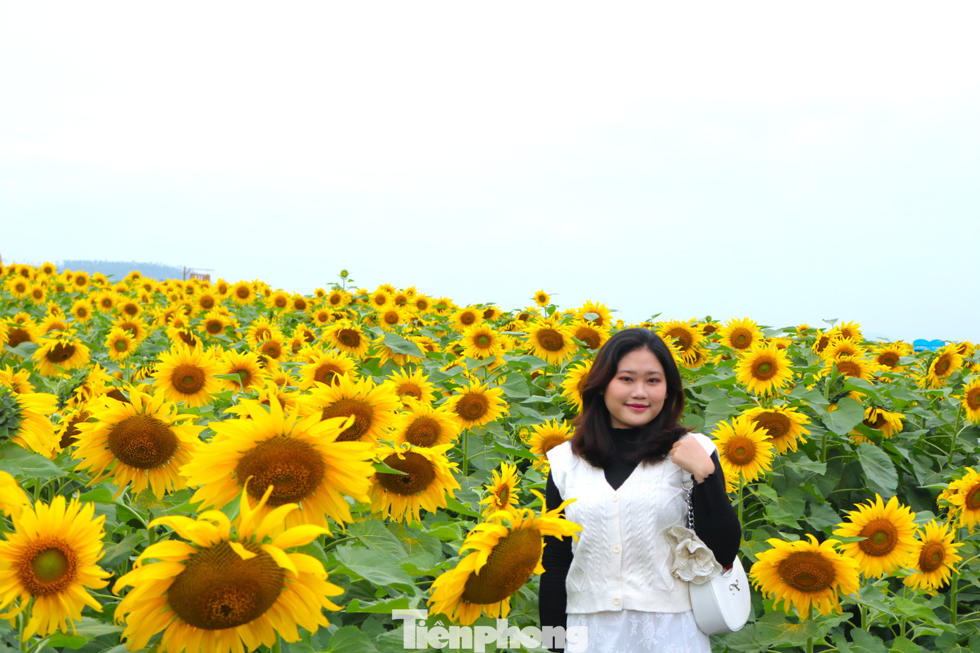 img src/upload/4-2025/images/2025-12-20/1766221407-tp-23-width1390height927.jpg width660 /